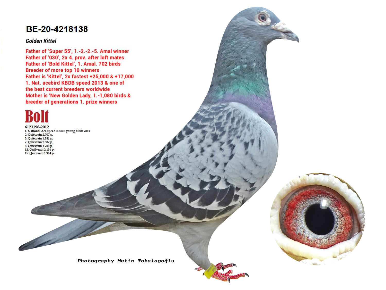 BE-20-4218138 KITTEL / BOLD