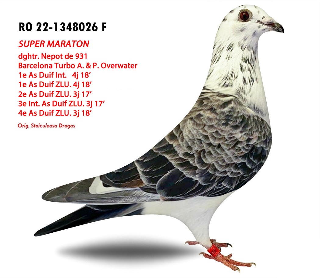 RO-22-1348026 SUPER MARATON