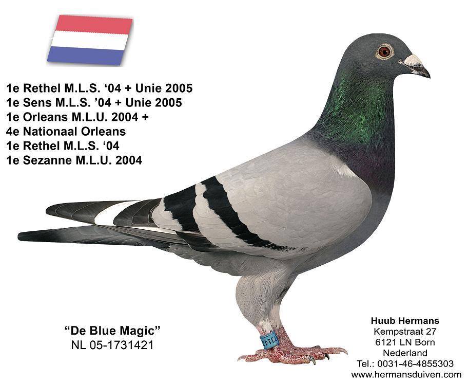 NL-13-1493548 HUUB HERMANS
