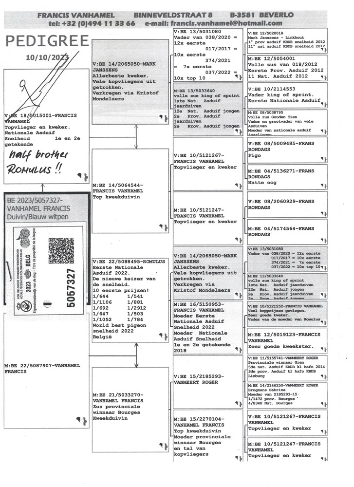 BE-23-5057327 ROMULUS