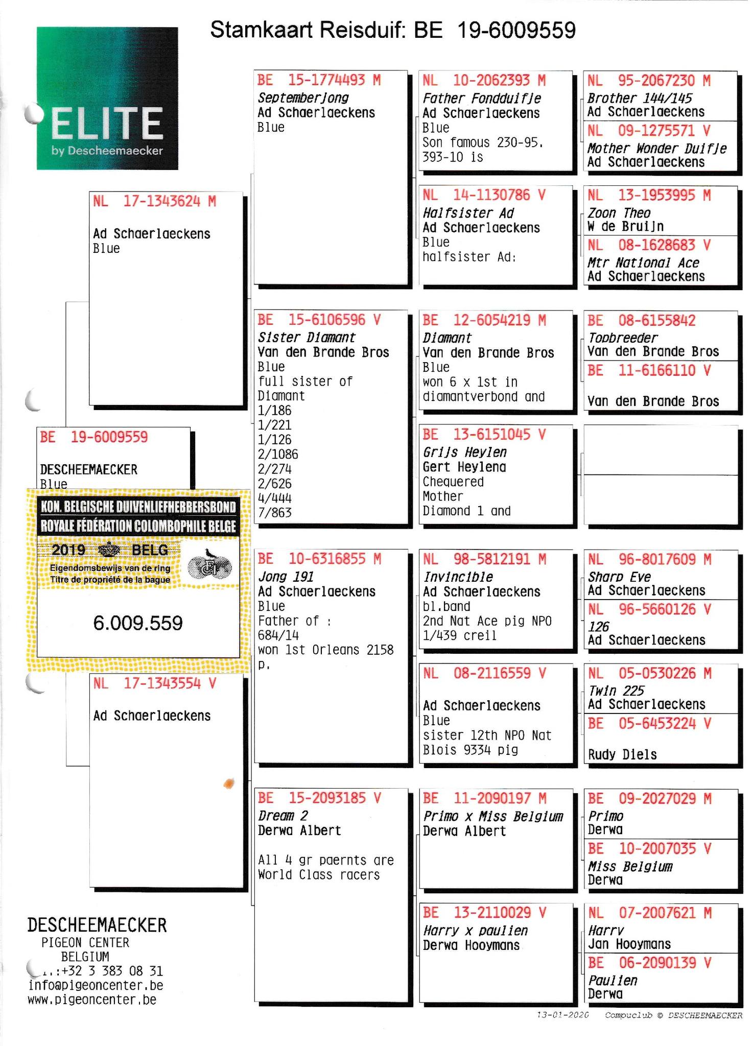 BE-19-6009559 AD SCHAERLAECKENS FULL + FULL