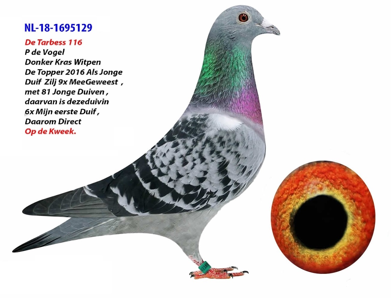 NL-18-1695129 OP DE KWEEK