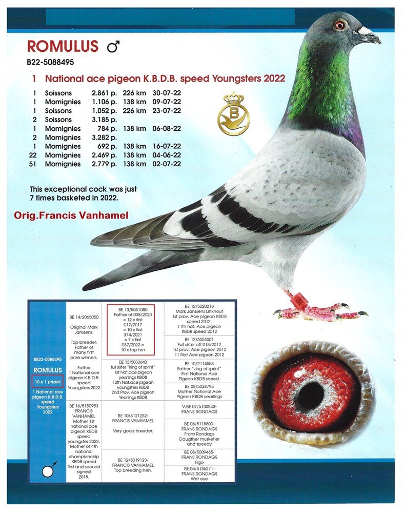 BE-23-5057327 ROMULUS
