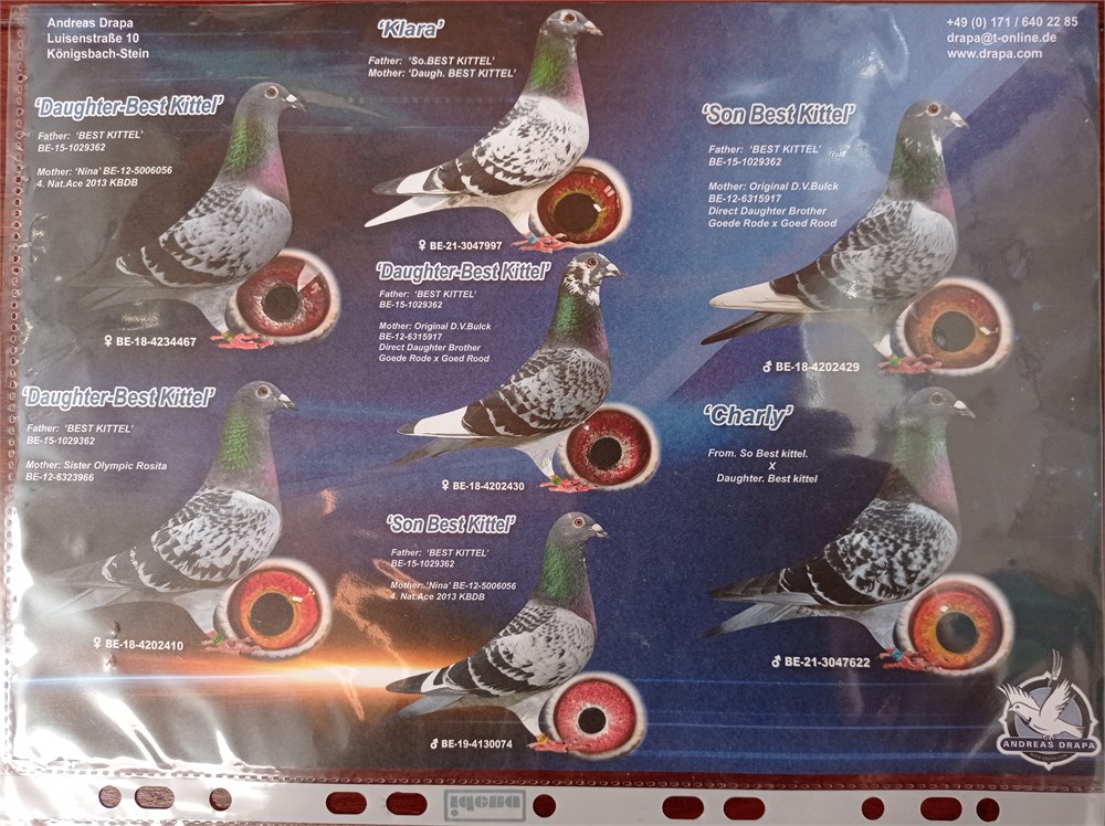 DV-01769-22-697 Best Kıttel